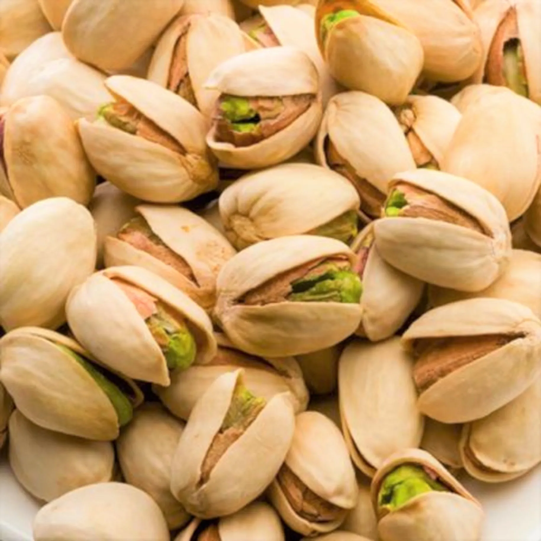 high quality and cheap Pistachio Nuts