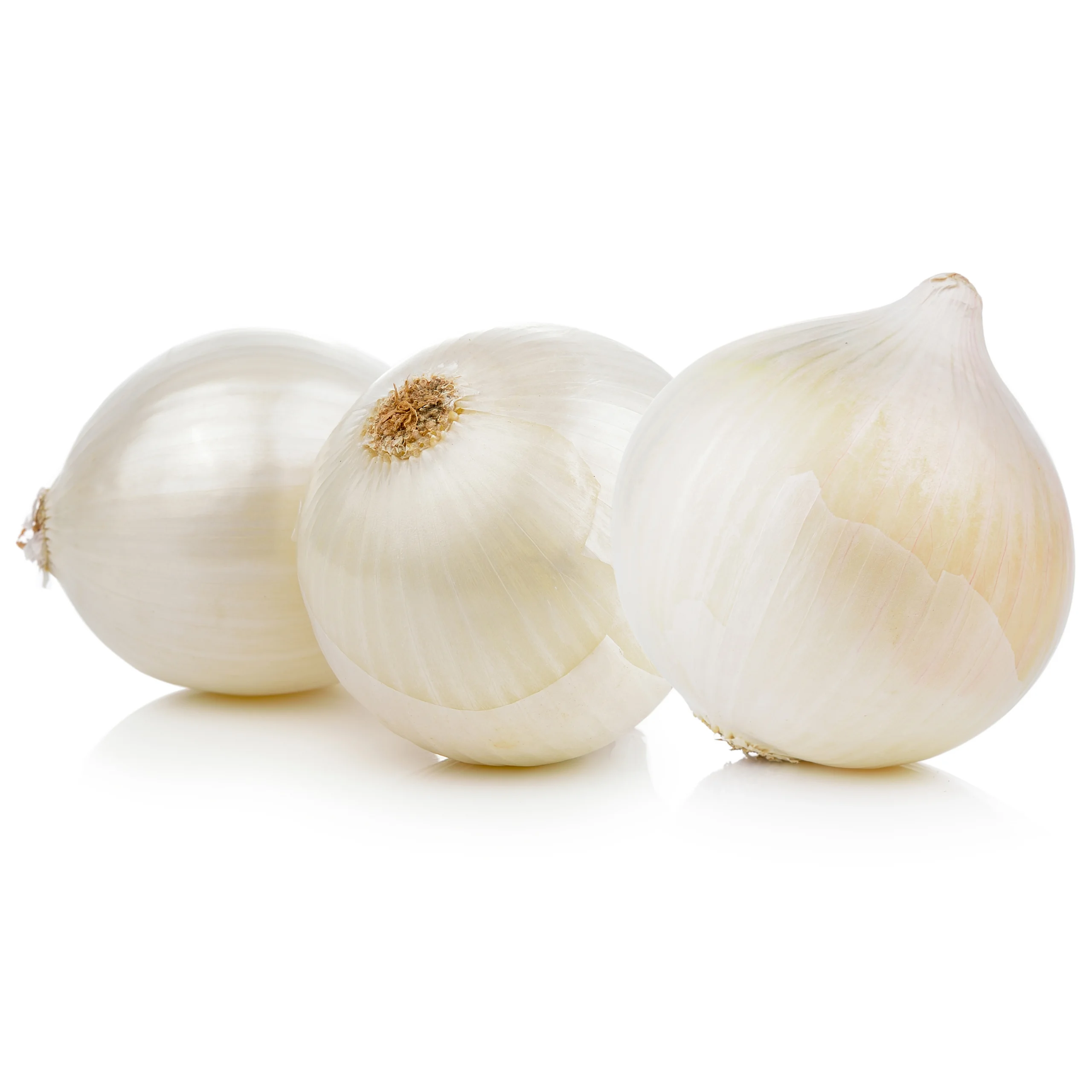 Белый лук-свежий, высокое качество