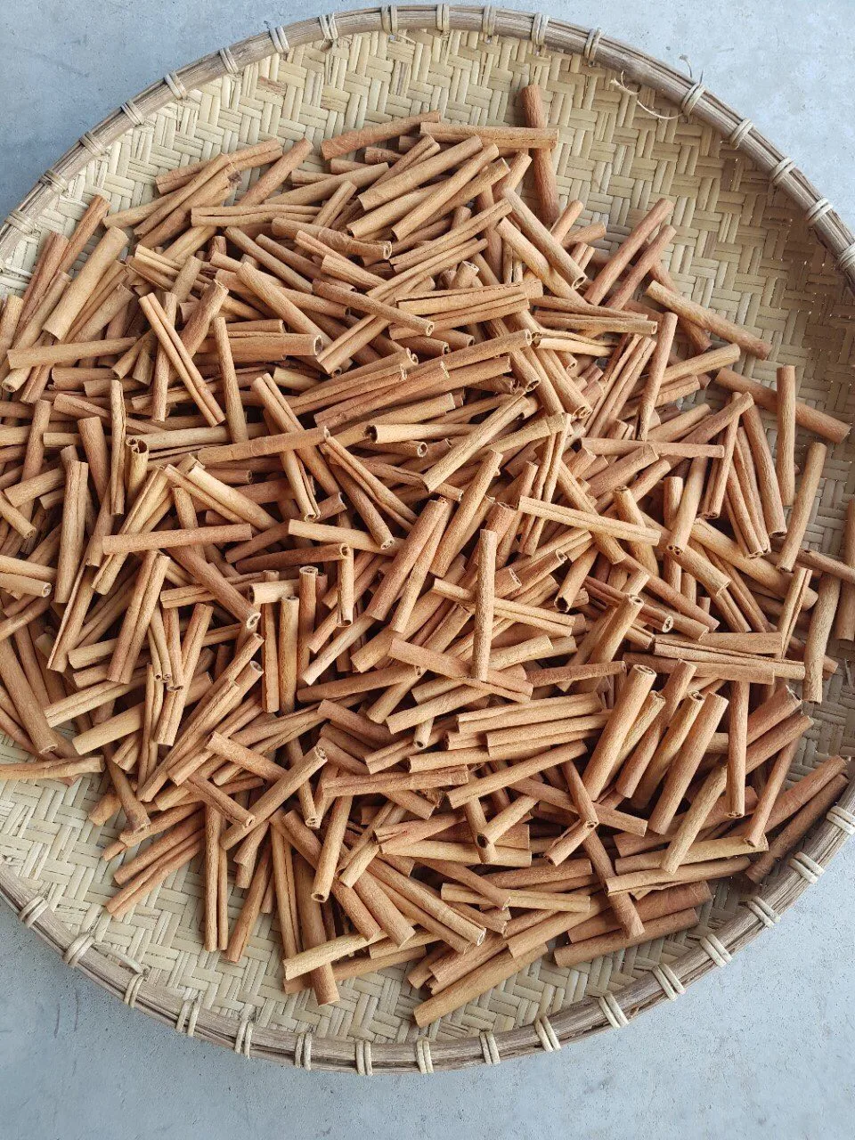 Perfect quality Cigarette Cinnamon Vietnam  new season