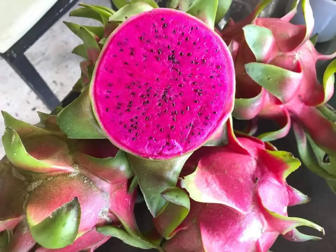 
[Hot] HASU Best Price New Crop Red Dragon Fruit Shipping From Vietnam With High Grade 2021 