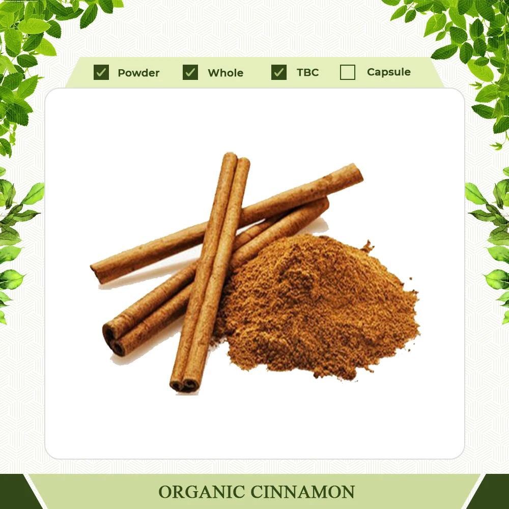 Hot selling Organic Cinnamon Tea Ingredients Indian Manufacturer International Supplier at wholesale price