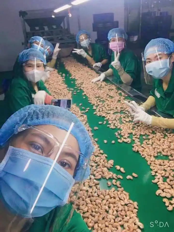 HOT SALE 2021 VIETNKIEN roasted cashew A180/A210/A240/A320