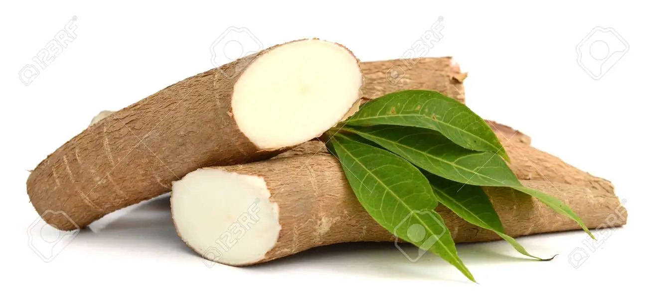 Полный Корень кассавы // свежая кассава из Вьетнама WHATSAAP:+ 84359443043