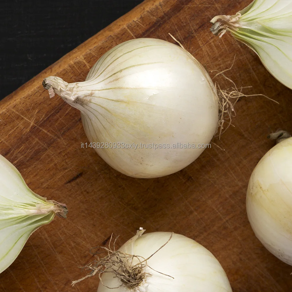 Italian made 300 g mason jar sour flavor zero fats whole pickled pearl onions in wine vinegar for export