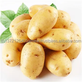 Export Quality Mozika Potato from Thailand