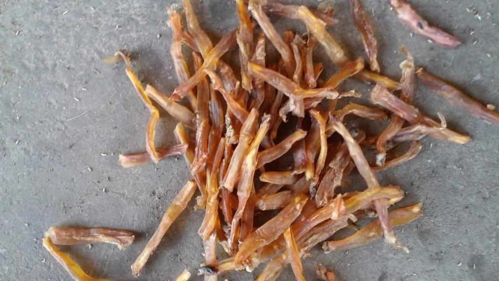 High Nutrition High Protein Dried  Tendon