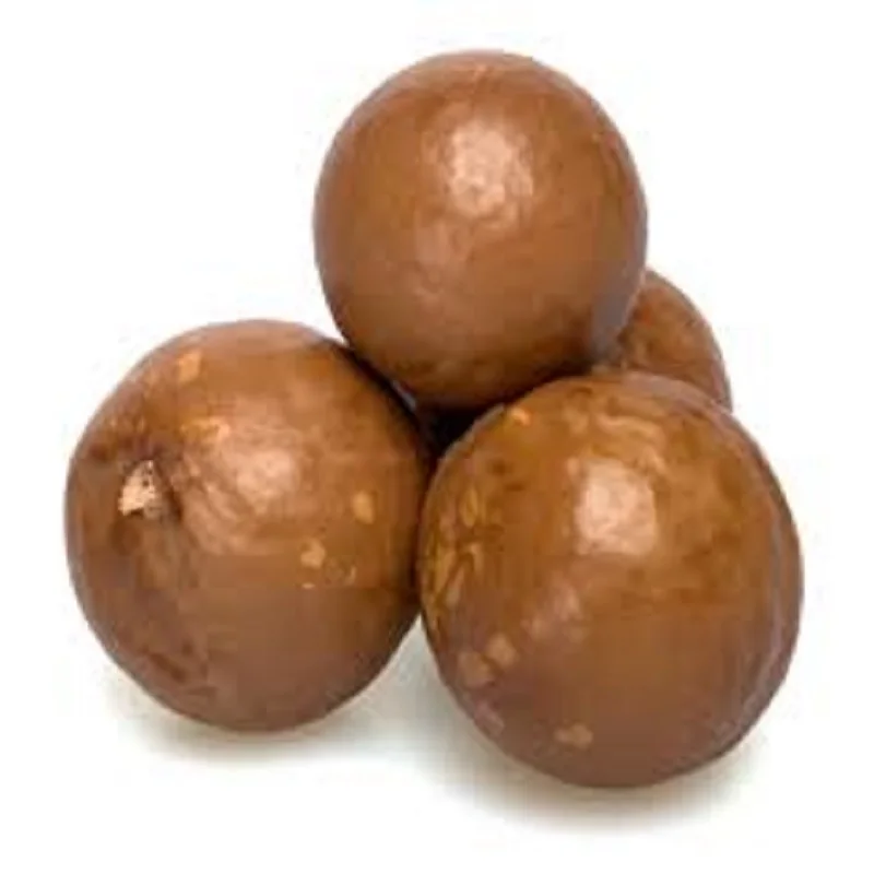 
cheap and competitive price Macadamia Nuts In shell, Kernels/Organic Macadamia Origin Brazil 