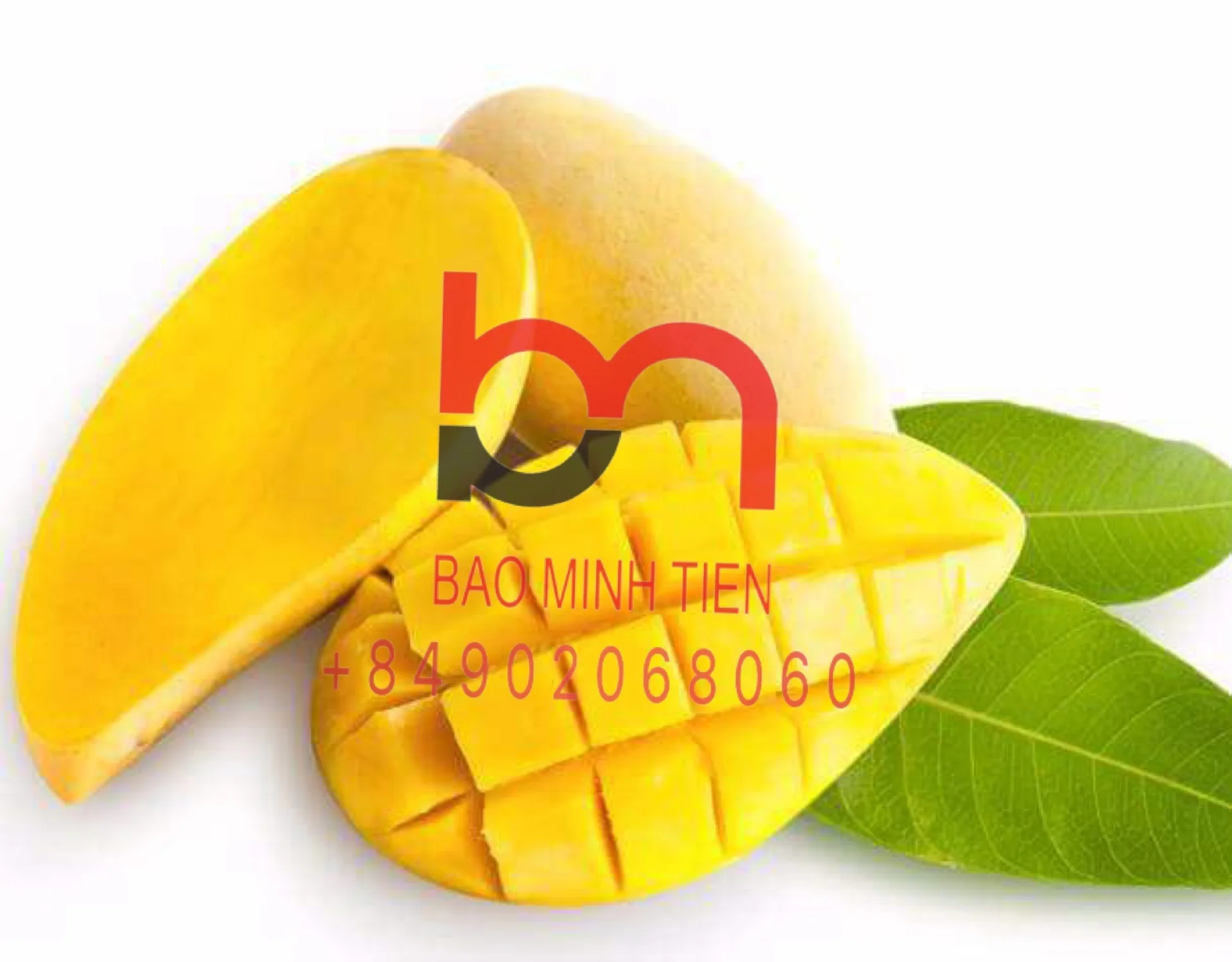 HIGH QUALITY IQF FROZEN MANGO SLICE FROM VIETNAM CALL +84902068060