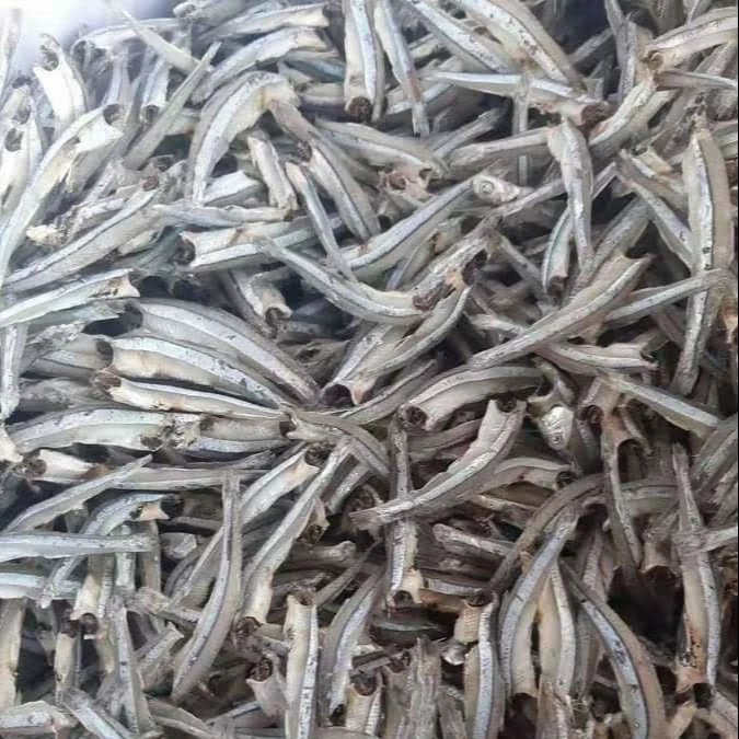 Вьетнам Сушеный анчоус с самым лучшим качеством морепродукты прямая хорошее соотношение цены и WHATSAP: 0084 989 322 607