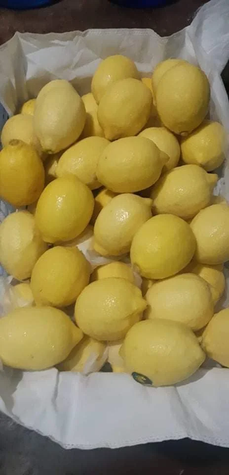 lemon fruits.jpg