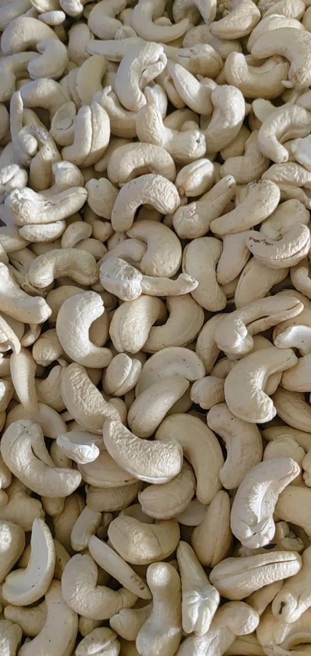 
CLEANED AND SAFE Cashew nuts WS from BInh Phuoc Factory For EXPPORT SM70921 WhatsApp/Kakao 0084965152844 