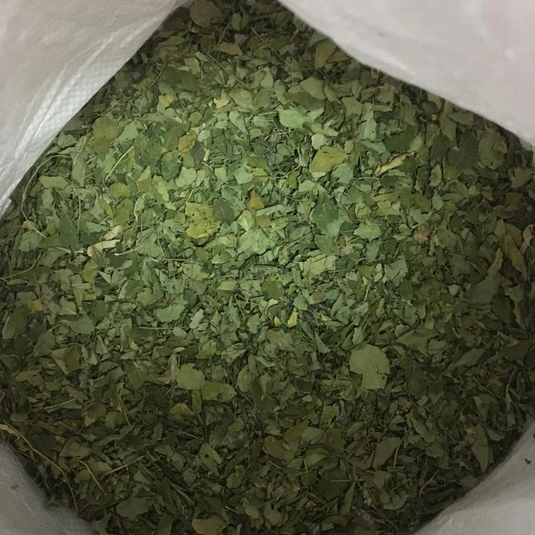 Высокое качество Новые имеющиеся в наличии Moringa высушенные лист Летняя распродажа лидер продаж травяной чай листьев 100% Премиум все