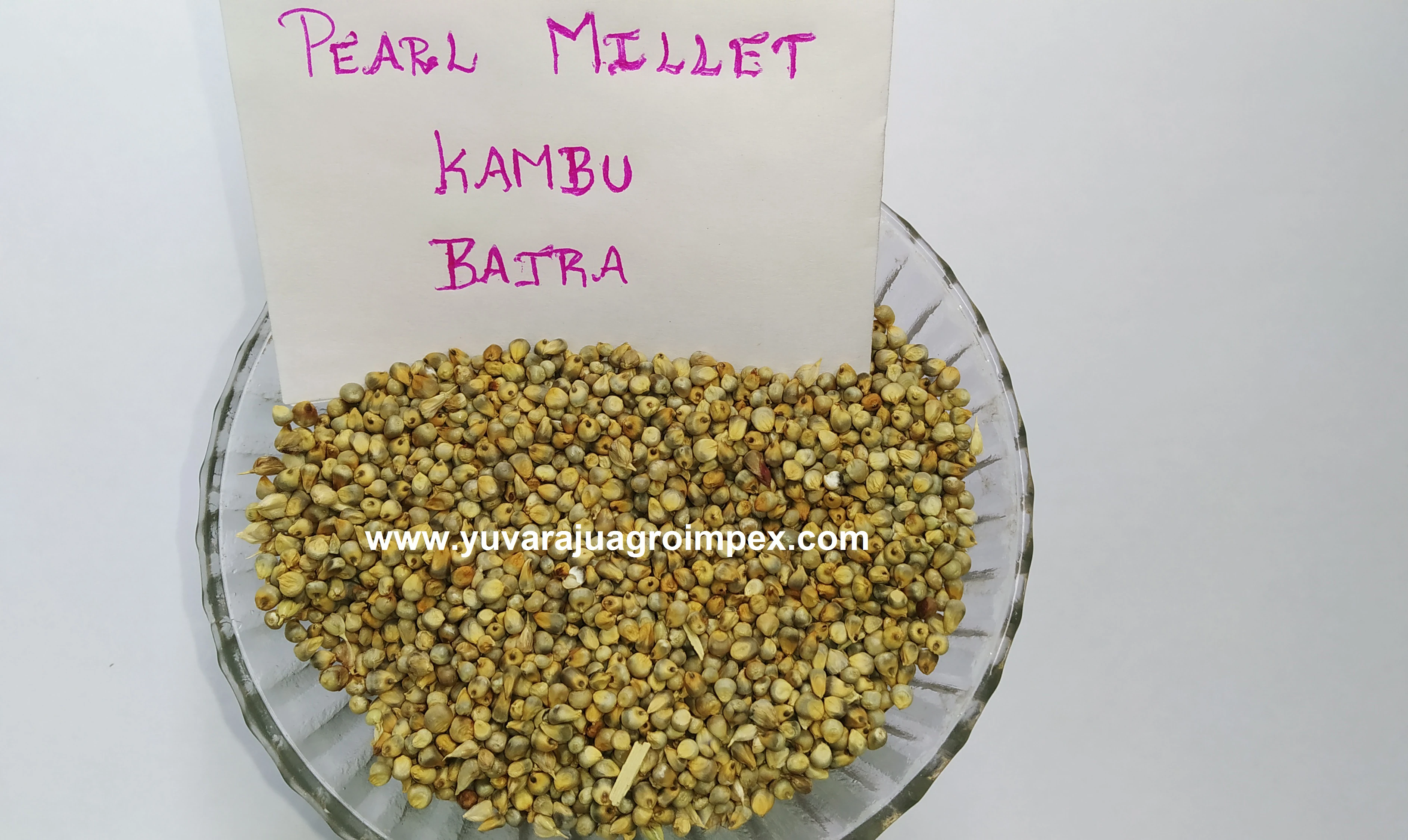 Жемчужные семян пса/лучшее качество экспорт пса в Индии