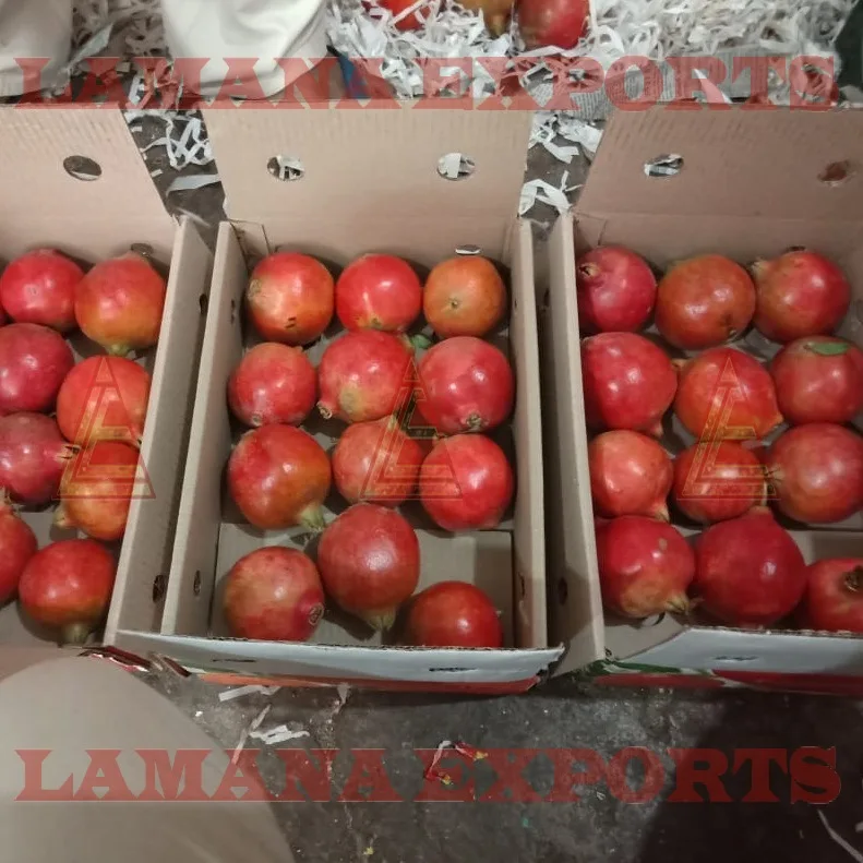 
Fresh Pomegranate Fruit India Export for Thailand Malaysia Singapore Vietnam 