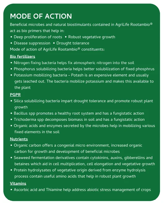 Screenshot (1051).png