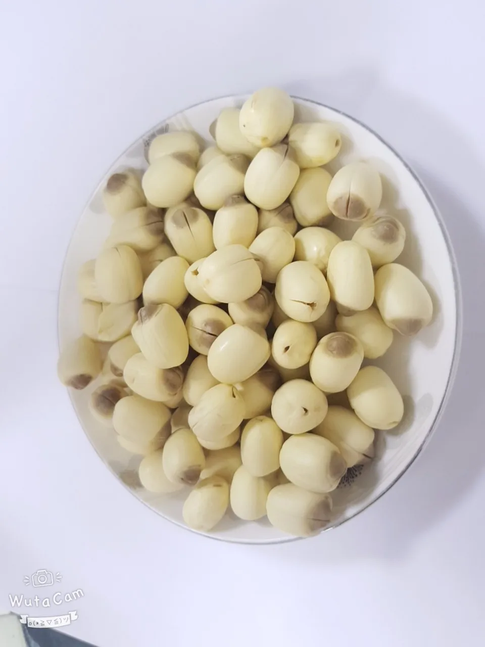 Dried Lotus seed Vietnam Lotus Seed 100% Natural Dried Lotus Seeds   From Viet Nam