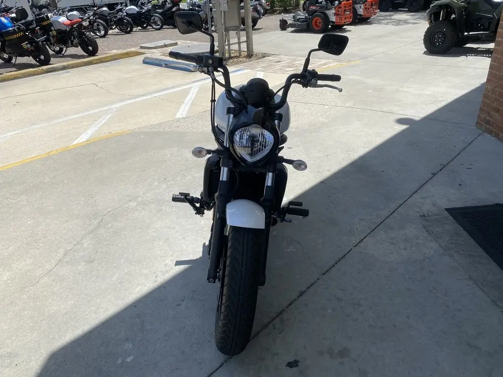 2018 Kawasaki обыкновенный S