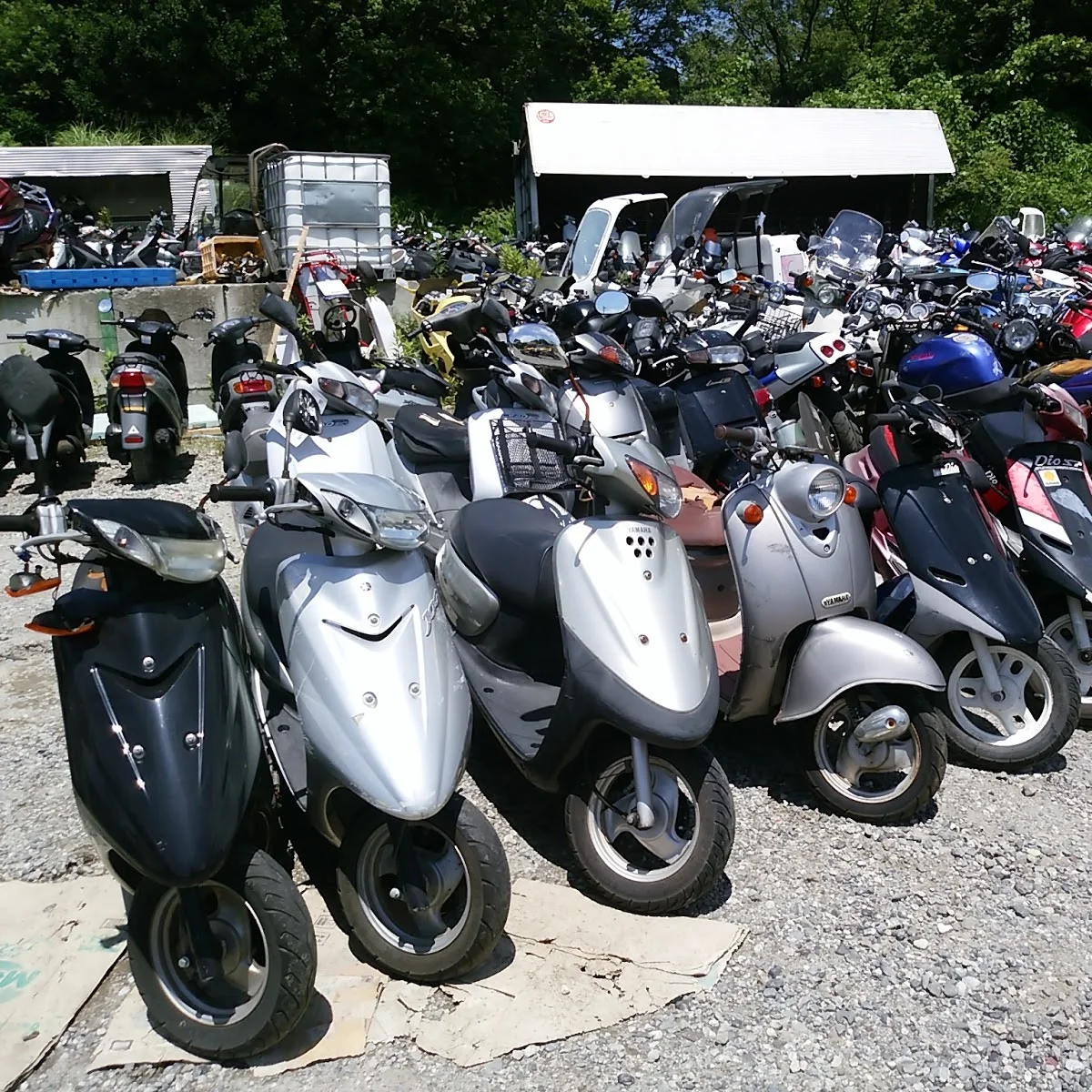 Used Motorcycles For Sale In Japan