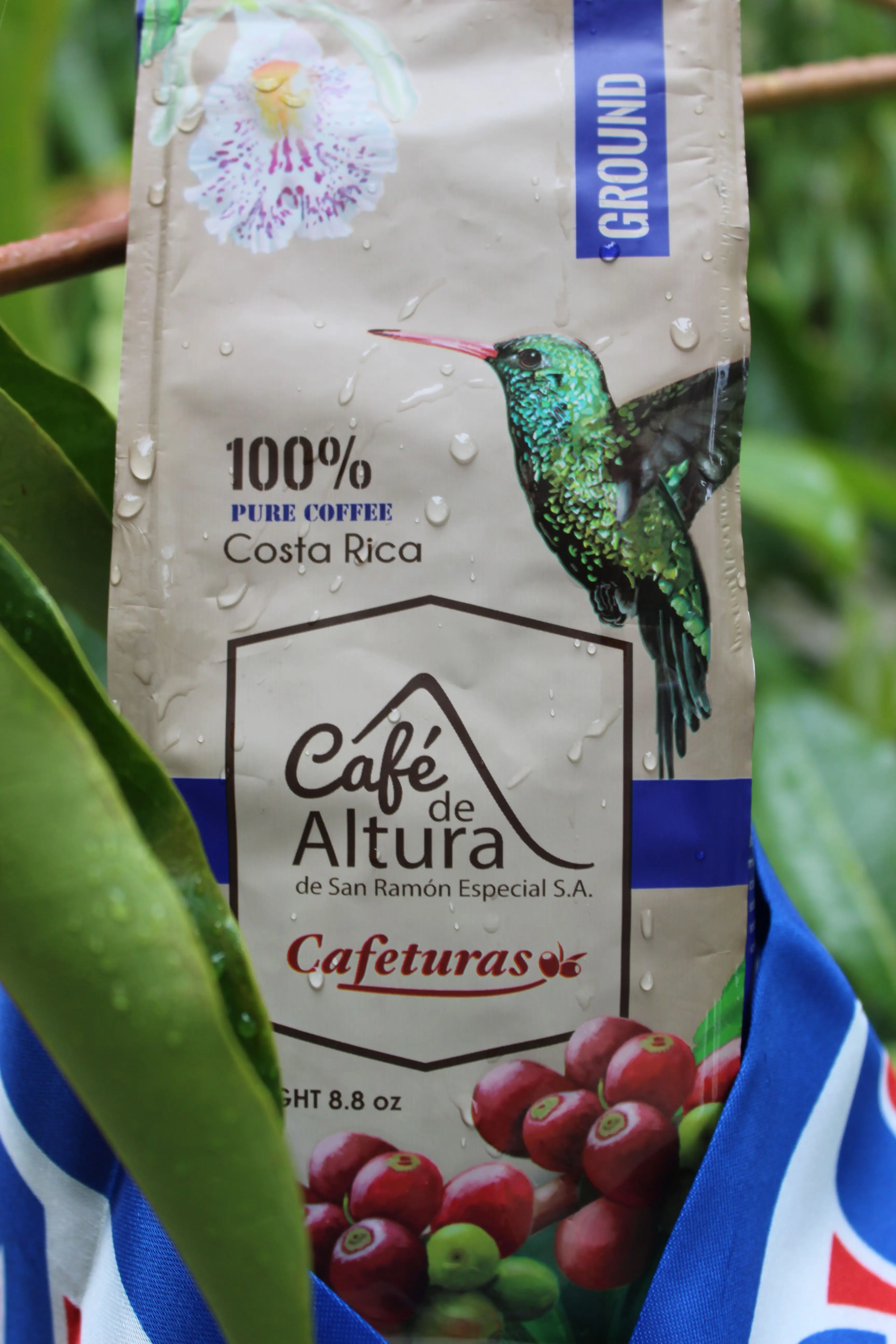 
*Cafeturas (1K whole bean) 100% Costa Rican Arabica from San Ramon. 