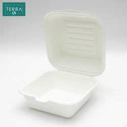 Vietnam Quality Food Biodegradable Packaging Surgarcane Bagasse Areca leaf White Natural RETANGUKAR Box With Lid