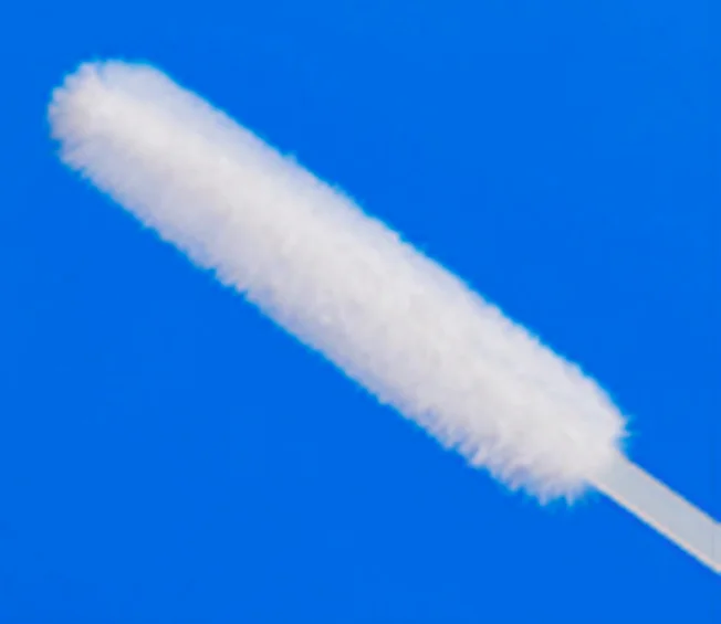 
Flocked Oral Swab Nasal Swab Sterilized Individual Package 