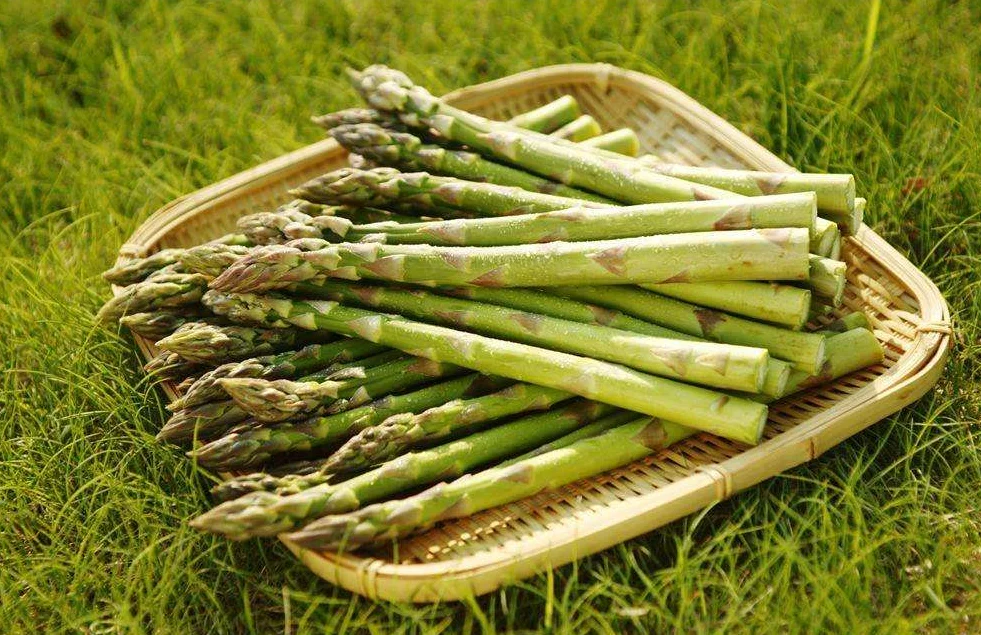 FRESH GREEN ASPARAGUS- WHOLESALE - MS. ELAINE +84 375 431 541