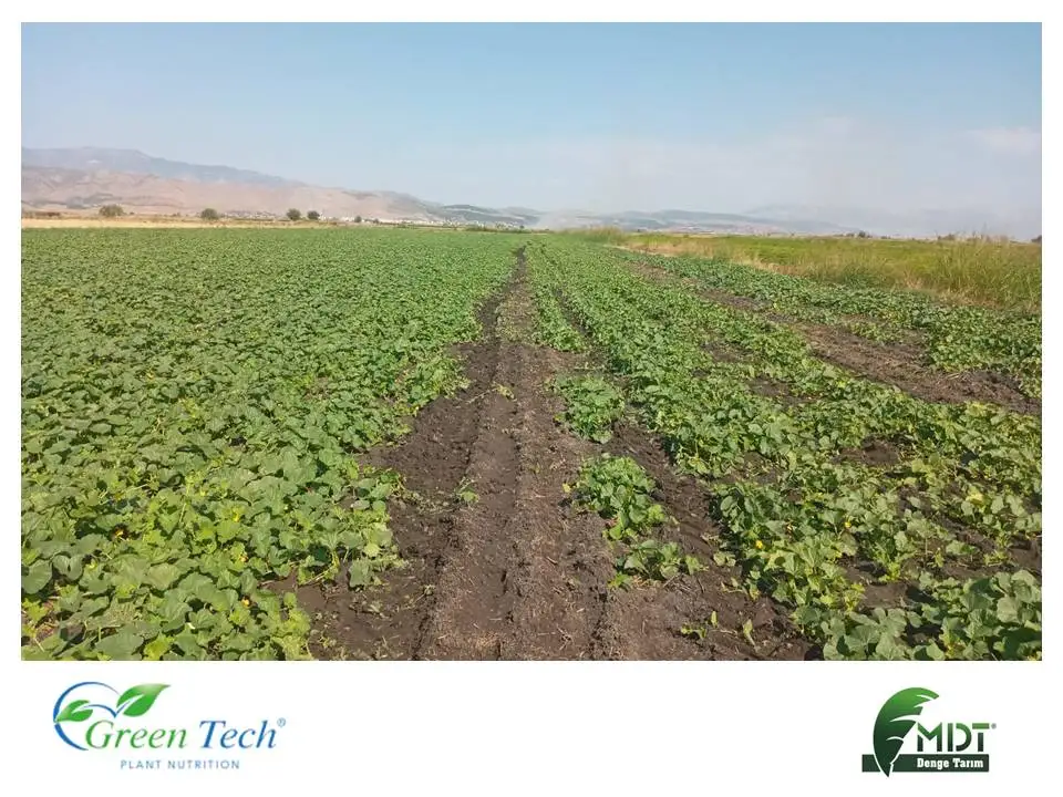 Green Tech AlgaCell - Liquid Biologic Fertilizer - Microbiel Fertilizer - With ACT (Active Cell Technology)