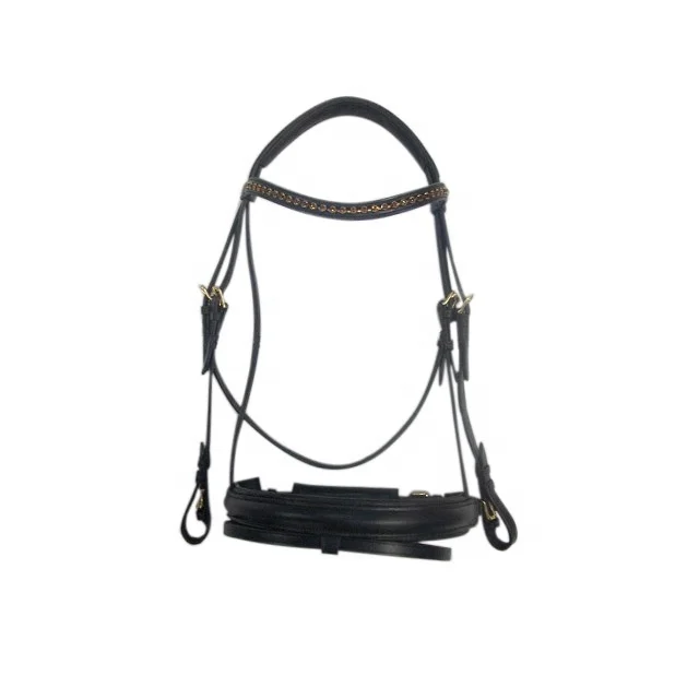 Horse Racing Bridle.