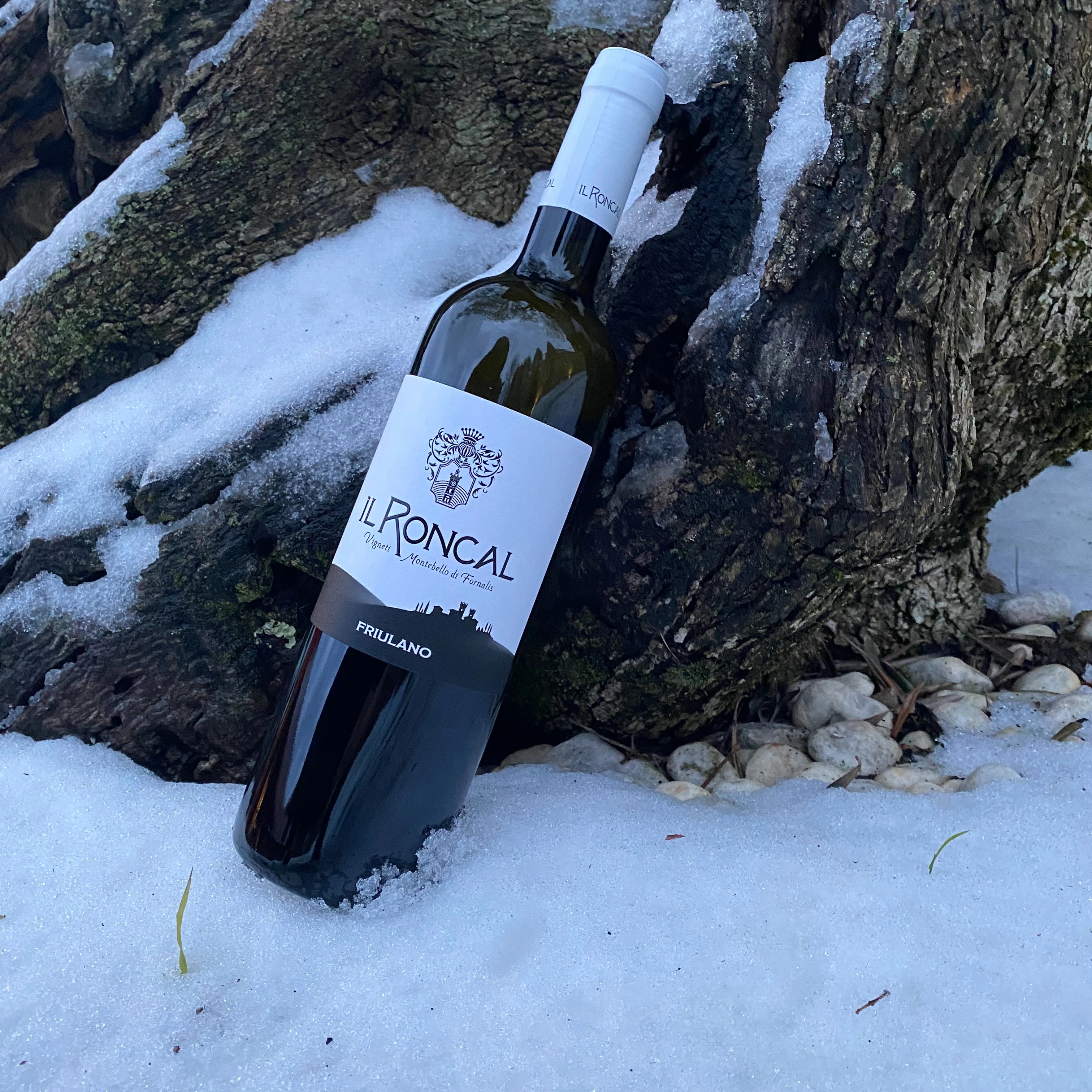 Best Made in Italy FRIULANO - White wine - High quality wines made in Italy - 0,75cl  bottle pasta cheese ham