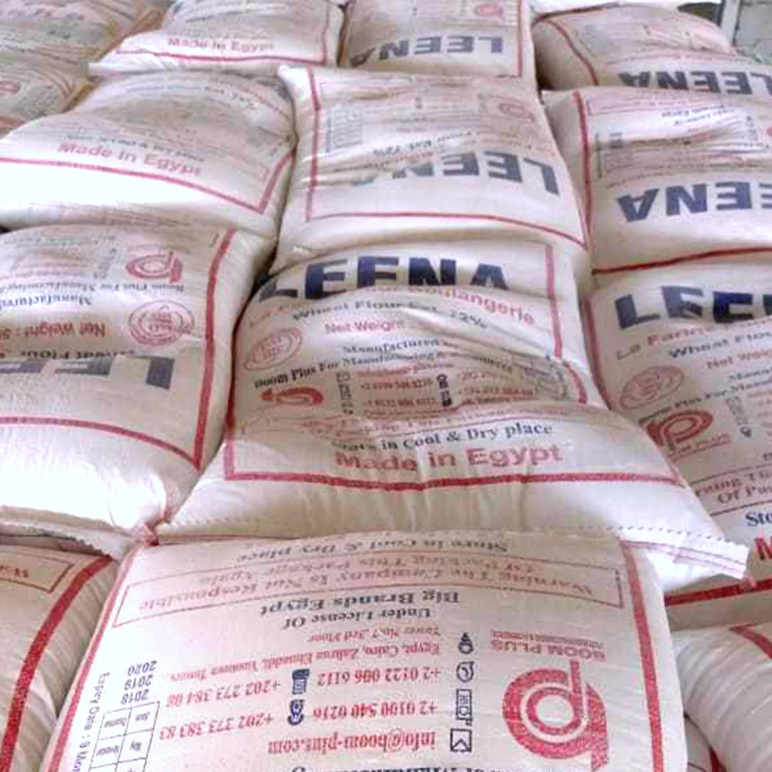 Bread Wheat Flour 50 kg t55 Leena Brand Flour Egyptian Product Maida Flour 72% Extract