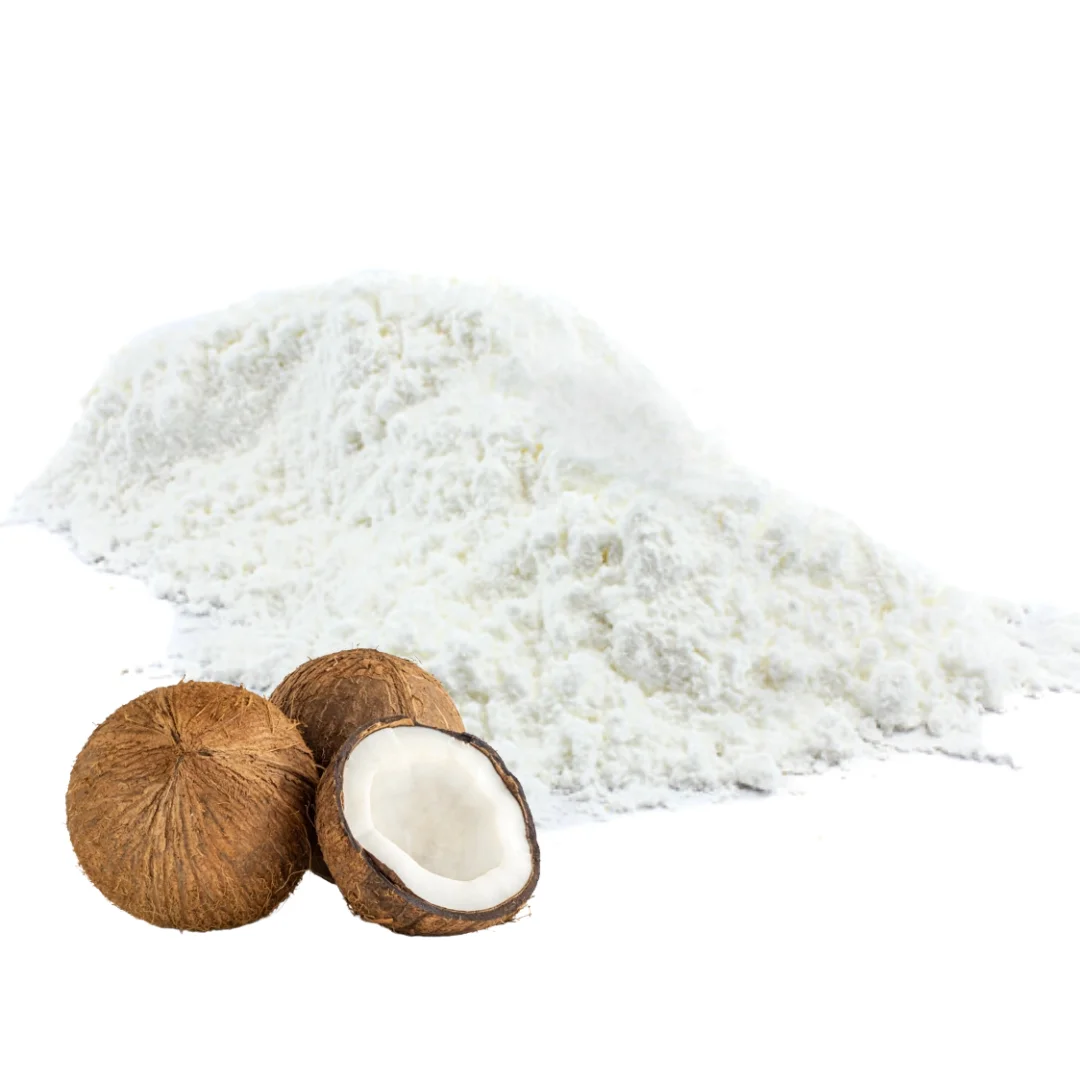 Hot Sale Singapore Supplier Best Price 65% Fat Content Instant Coconut Milk Powder made from Halal Certified Organic Coconut
