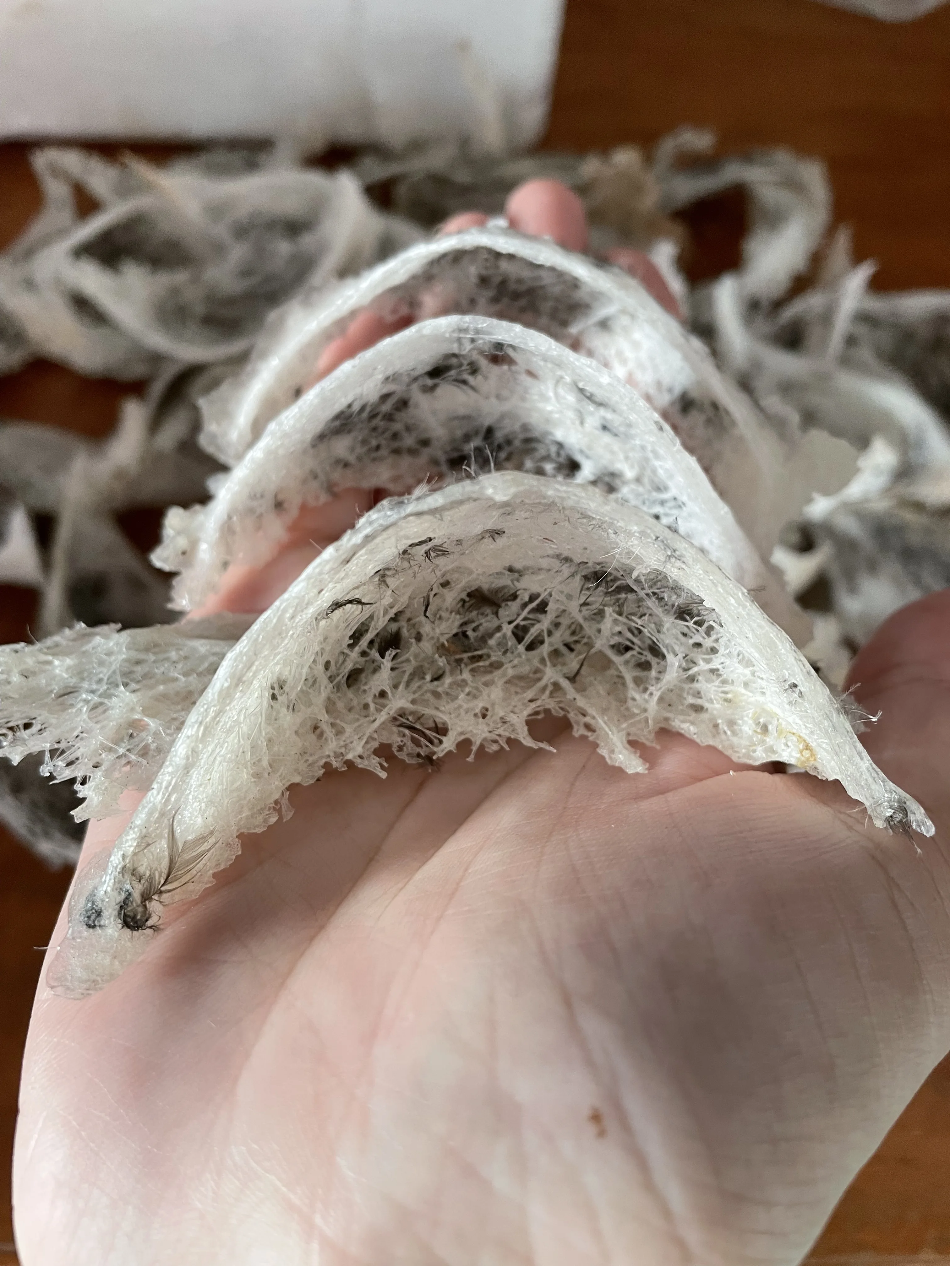 Лучшее качество лечебная добавка птичьего гнезда 100% натуральная непереработанная из южной Таиланда для экспорта