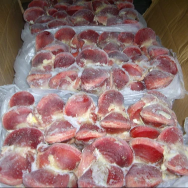 fresh Halal Frozen Chicken Gizzard whole sale
