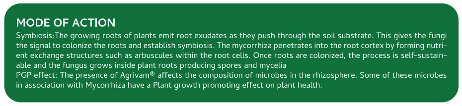 Screenshot (1158).png