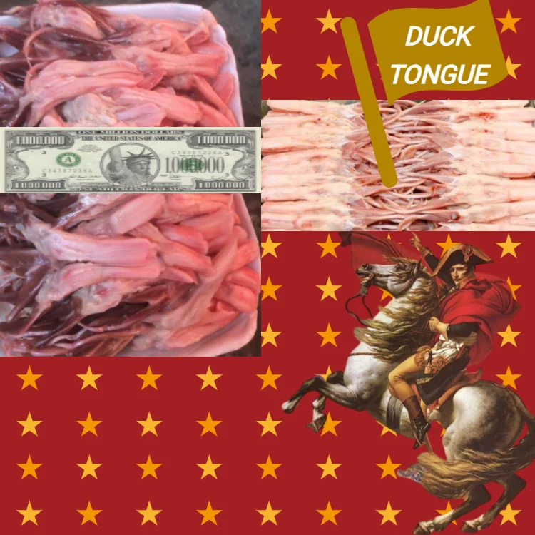 
Wholesale premium Halal ifq frozen processed duck paws / breast meat/ prime wing/ gizzards 