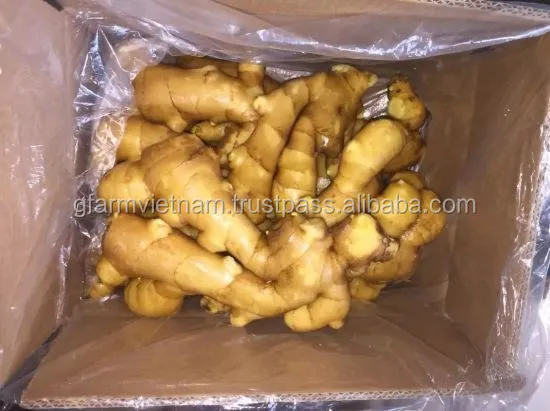 
Fresh root ginger per kg for your market for sale 