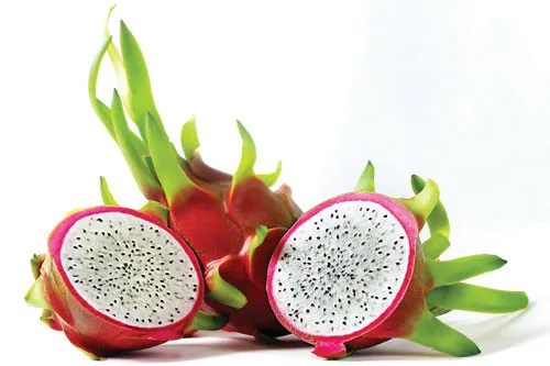 ORGANIC Dragon Fruit from VietNam/Whatsapp +84 845 639639