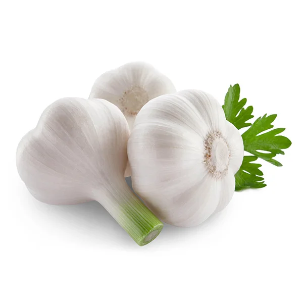 Egyptian Low Price Fresh Garlic White New Crop Style Time June Food Newest Color Package Weight Normal Net Origin Type