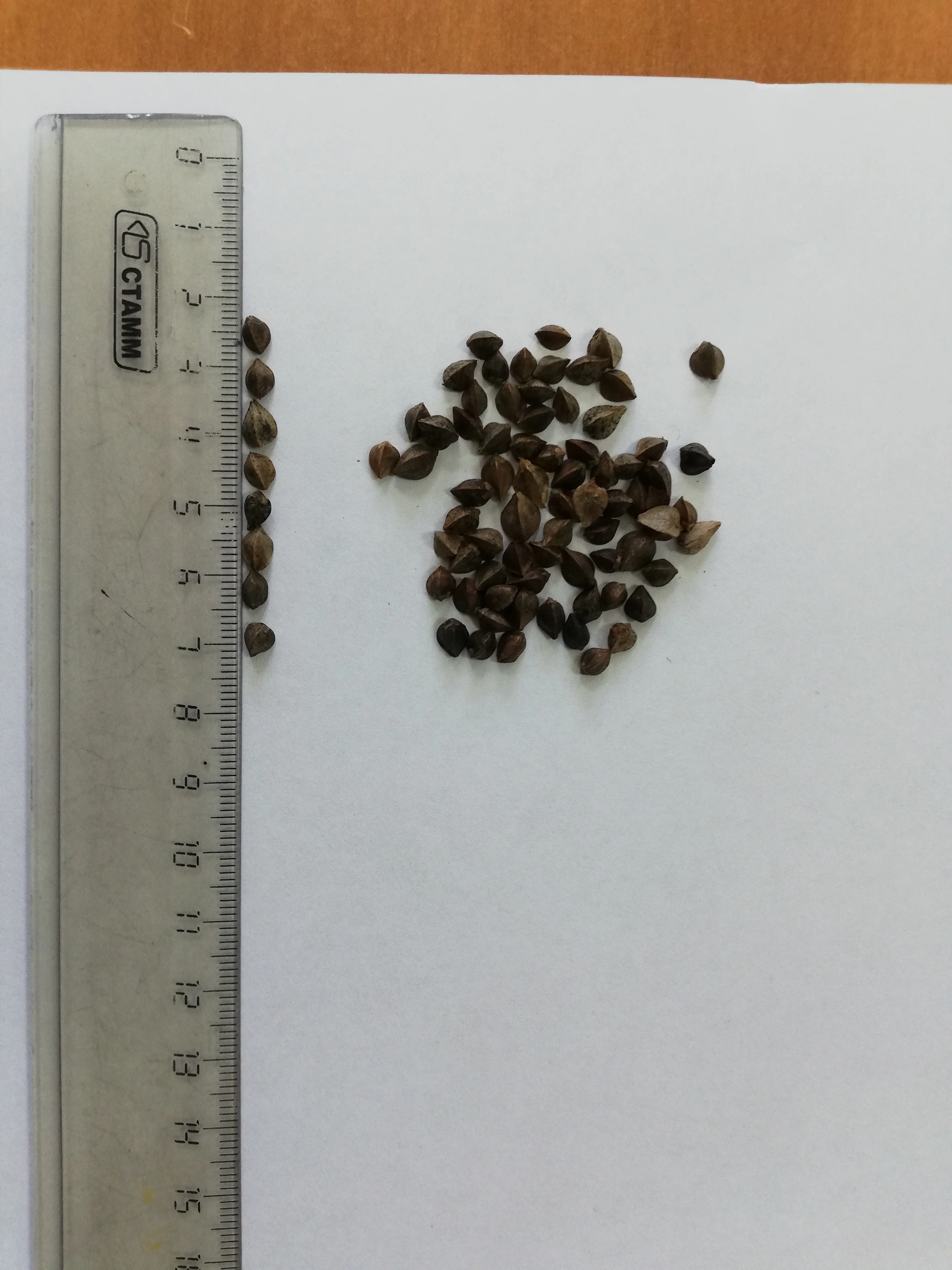 
Brown Buckwheat Raw 