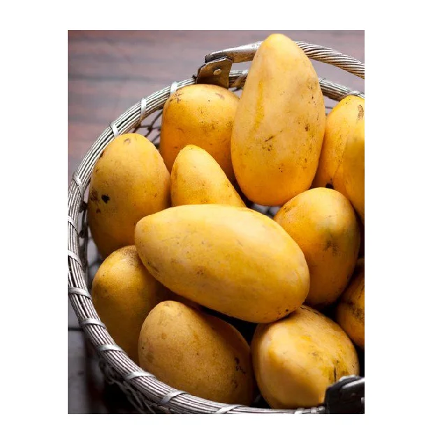 
Sweet And Delicious Premium Quality Pakistani Mango Export In Bulk 