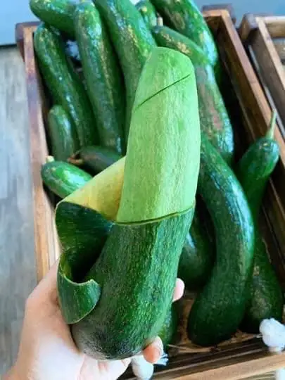  Свежий авокадо из Вьетнама для экспорта по конкурентоспособной цене высококачественный