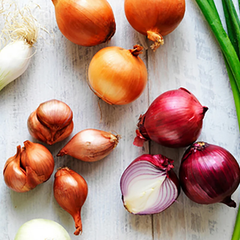 Shallot for Export / Fast delivery and Quick response / Wholesale from Vietnam