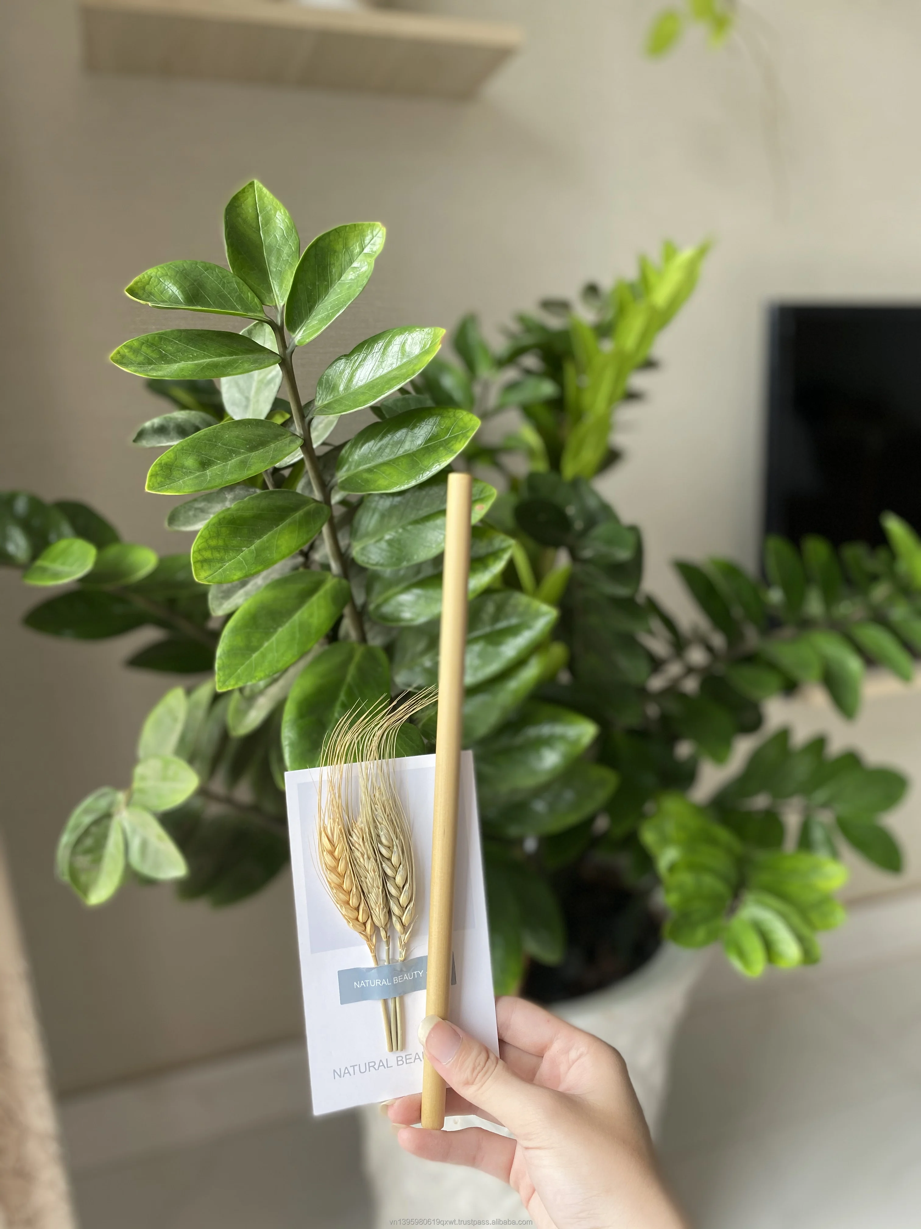 vietnam bamboo straw (9).jpg