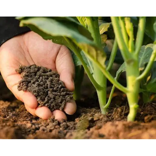 ORGANIC PLANT GROWTH PROMOTER