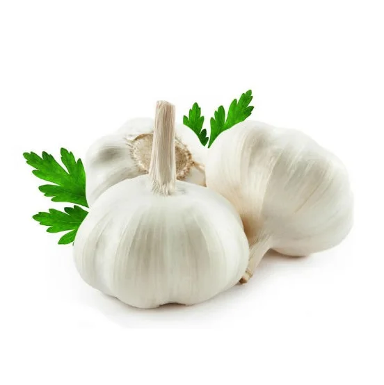 100 % Natural Quality Pure White Garlic Available at Cheapest Price In Huge Stock