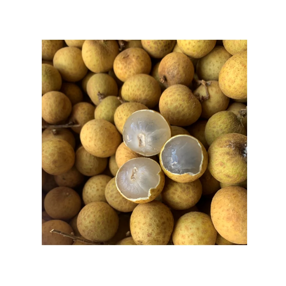 Offer Best Price Special Tropical Thailand Fresh Longan Fruit