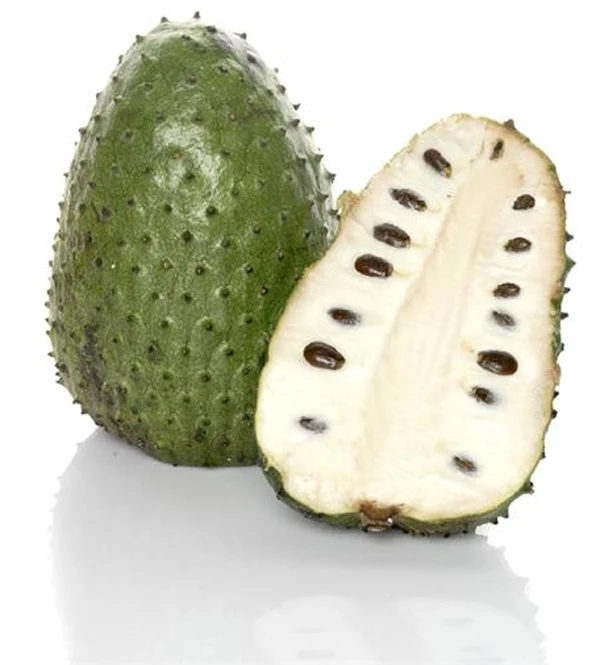 FRESH SOURSOP HOT SALE FOR EXPORT FROM VIETNAM/ MS LAURA +84 896611913