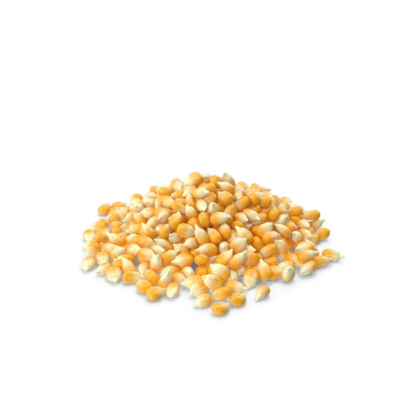 Yellow Corn/Maize for Animal Feed / YELLOW CORN FOR POULTRY FEED