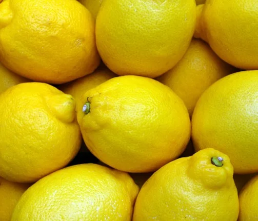 HIGH QUALITY Fresh Lemon - TURKEY (Antalya) 2022
