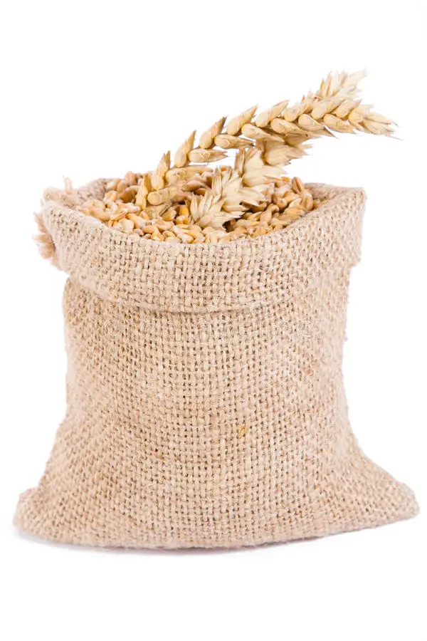 Зерна пшеницы без ГМО